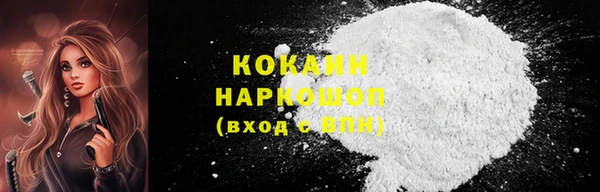соль ск Кукмор