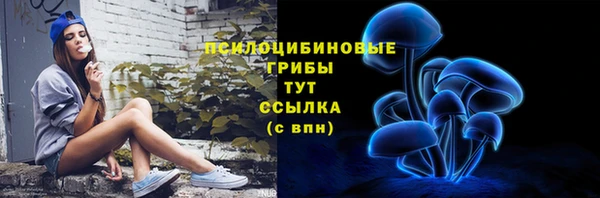 альфа пвп Краснотурьинск