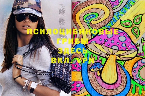 соль ск Кукмор
