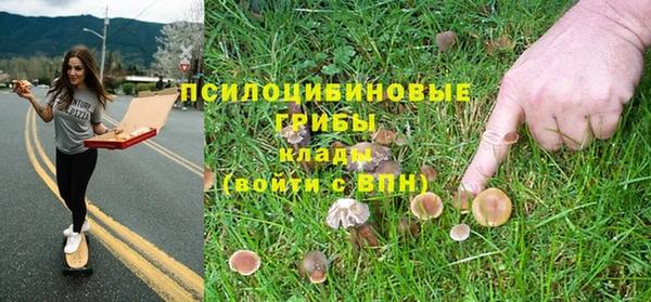 мдпв Краснослободск