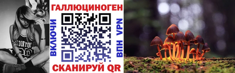 Галлюциногенные грибы Psilocybine cubensis  kraken маркетплейс  Куртамыш 